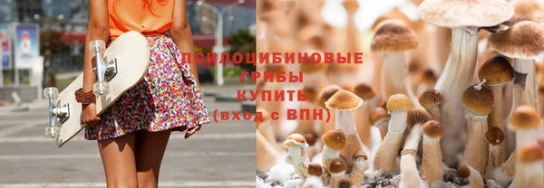 прущая мука Алексин