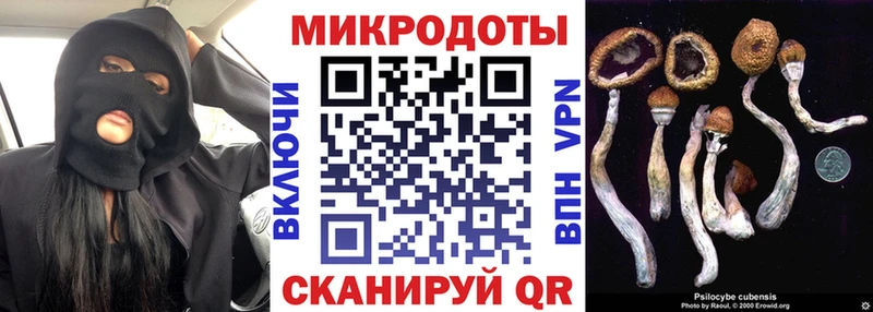 Галлюциногенные грибы Magic Shrooms  цена   Биробиджан 